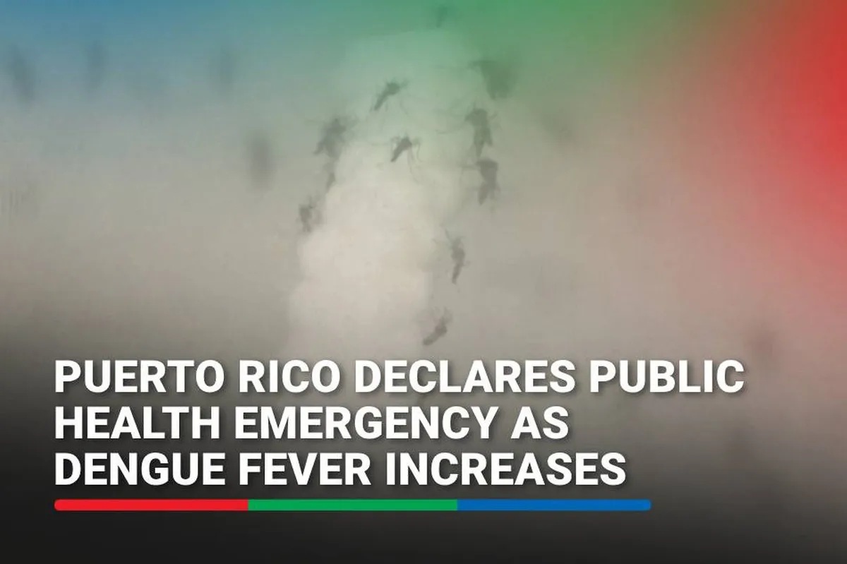Puerto Rico declares public health emergency as dengue fever increases