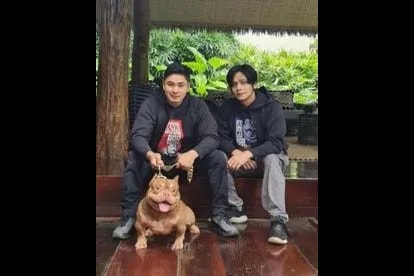 Coco Martin with his handsome brothers