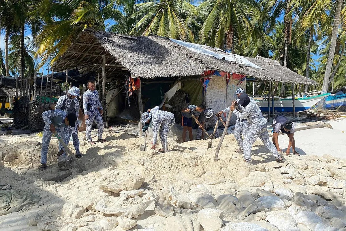 Hundreds of giant clam shell pieces seized in Palawan | ABS-CBN News