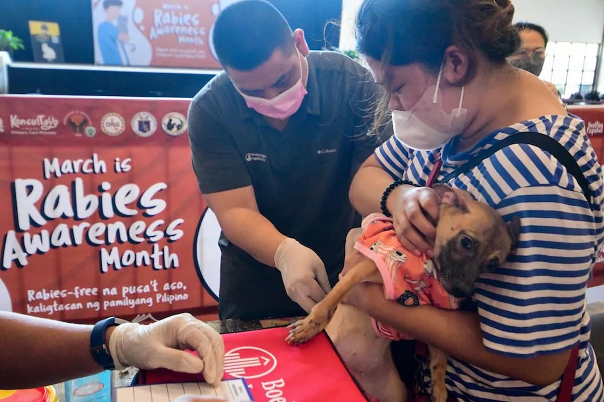 Philippines records 55 rabies deaths as of February 25 | ABS-CBN News