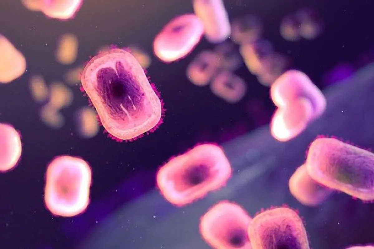 PH logs more mpox cases | ABS-CBN News