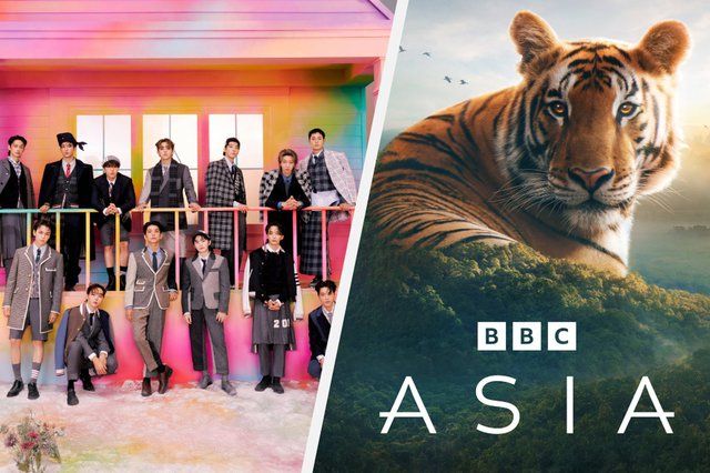 316238886a0cfb895c93339c699d29