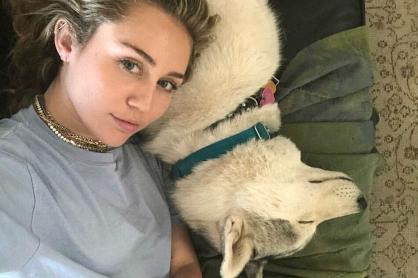 Miley Cyrus, Neil Young lose homes in Malibu fire ABSCBN Entertainment