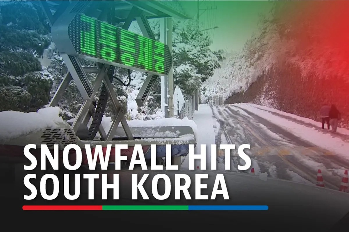 Snowfall hits South Korea: Flights grounded, power cut | ABS-CBN News