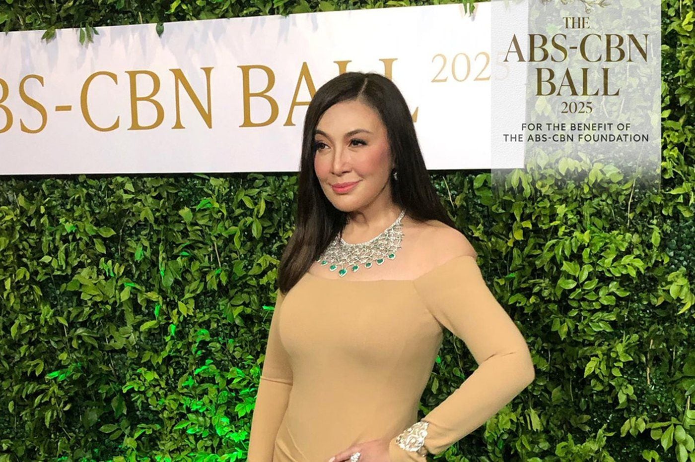 Sharon Cuneta attends ABS-CBN Ball for the first time | ABS-CBN  Entertainment