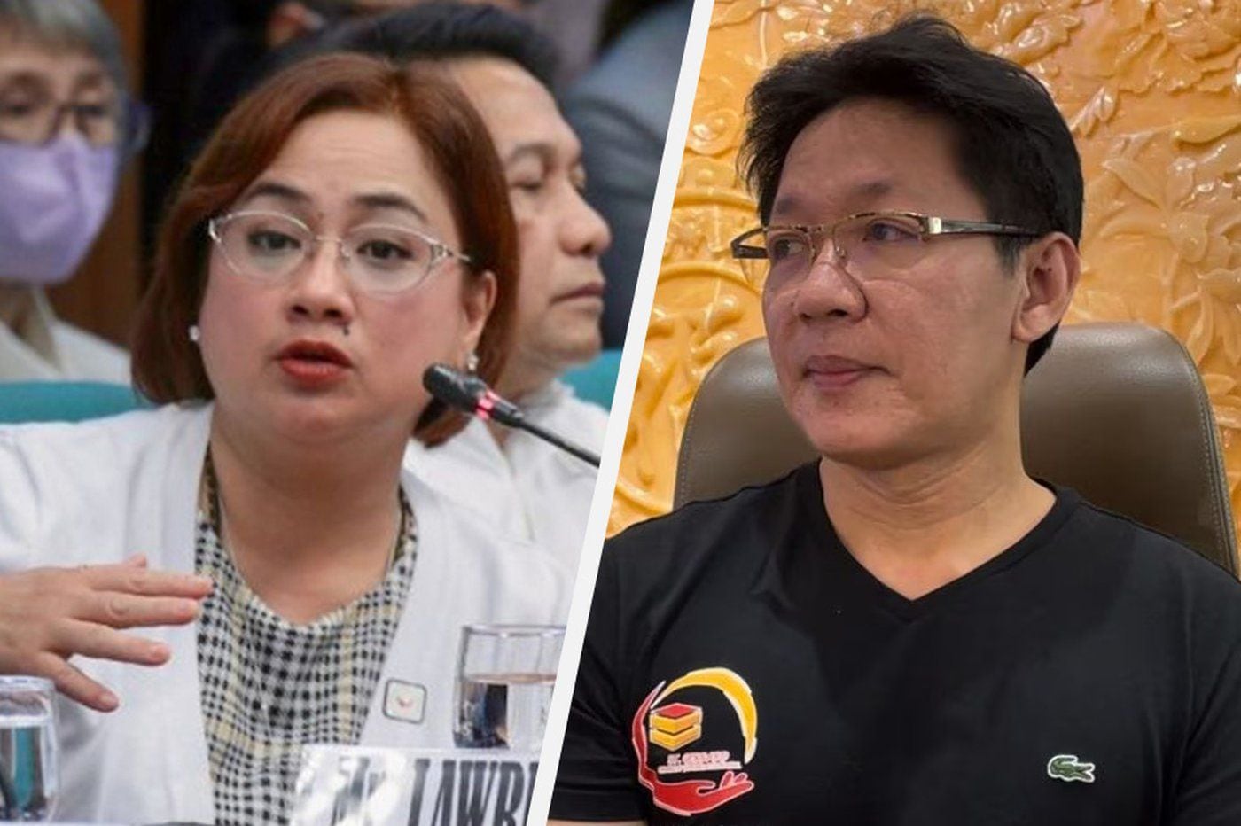 Discaya couple are PH's 'flood control king and queen', with P31-B in flood  control projects - PCIJ | ABS-CBN News