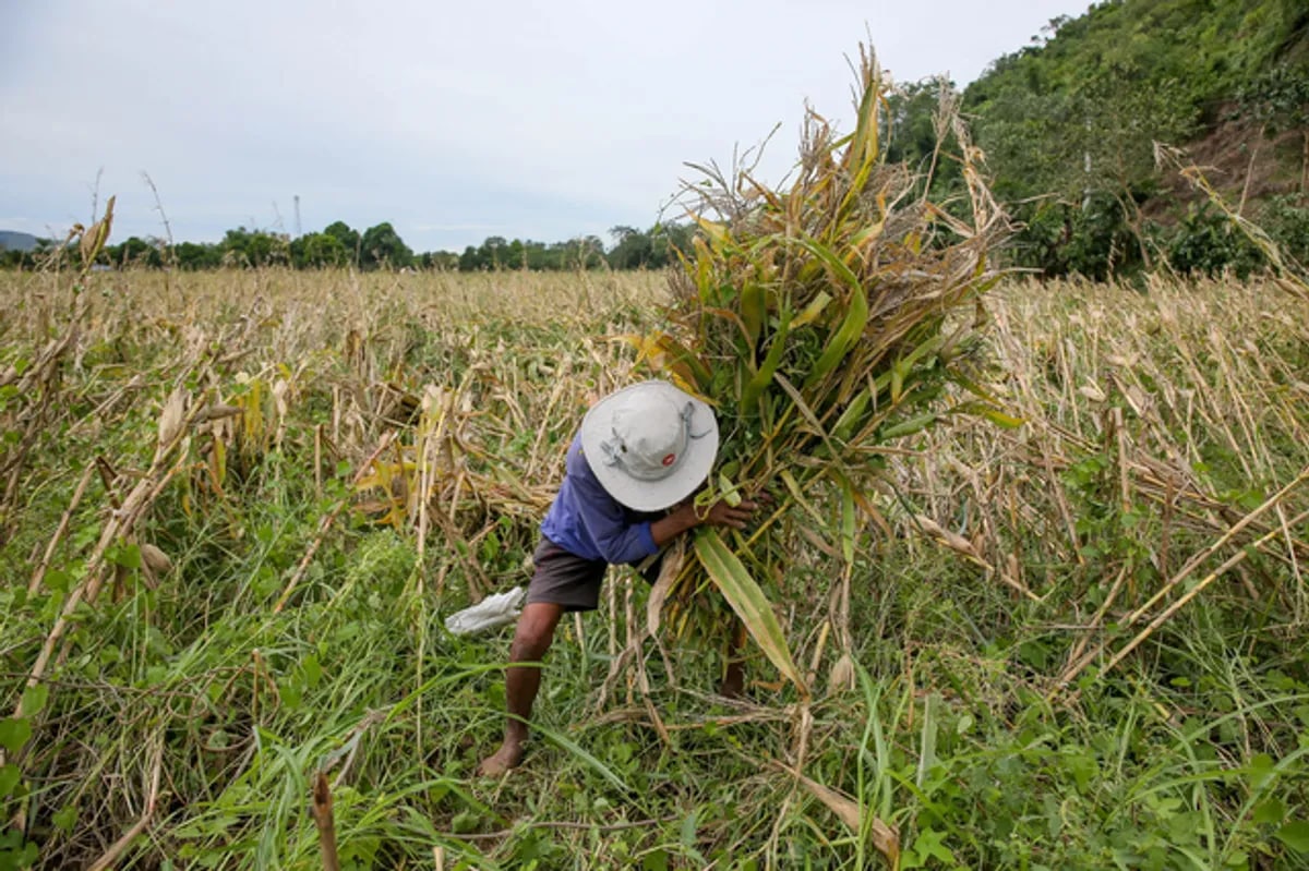 Agri dept eyes third party auditors, new ‘price menu’ for farm-to-market roads