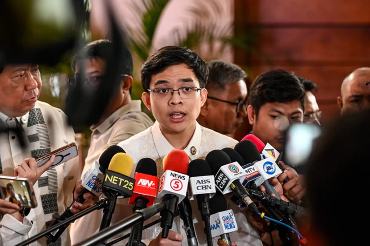 Leviste seeks authority to travel abroad | ABS-CBN News