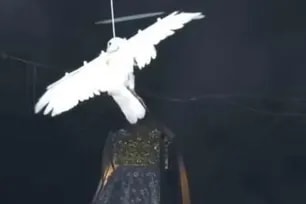 Philippine Animal Welfare Society