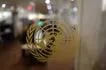 The United Nations logo is seen in the corridors of the United Nations headquarters in New York City on September 25, 2018 during the annual general assembly.