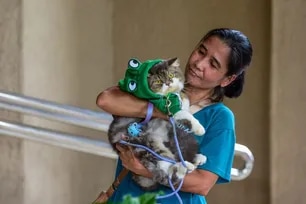 Pets are blessed
