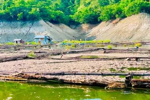 Fish kill is observed at tilapia farms in Magat Darm. Handout/BFAR