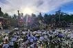 Rene Baterbonia's tomb filled with flowers as people remember him 1 month after death