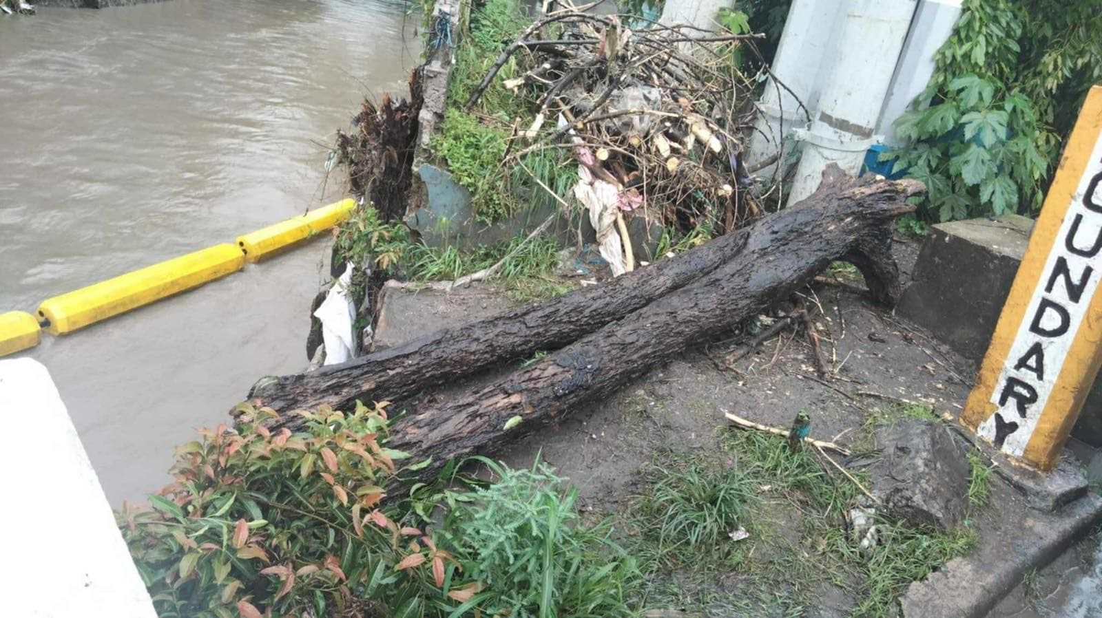 Logs spotted in waterways in Biñan, Laguna. Photo courtesy of OpinYON Laguna